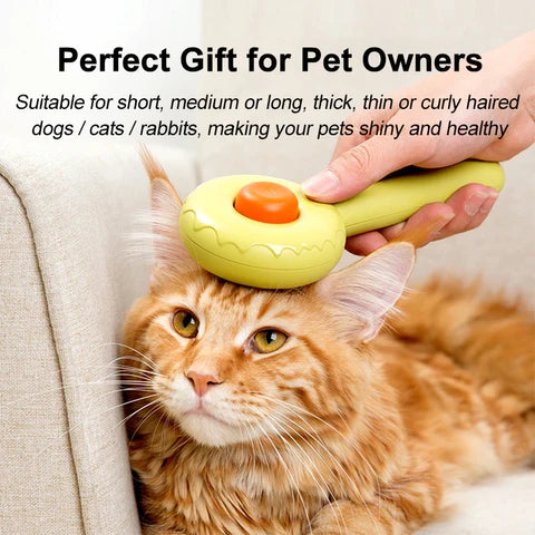 Feline Bliss: Purrfect Pet Grooming Magic - Boatlode