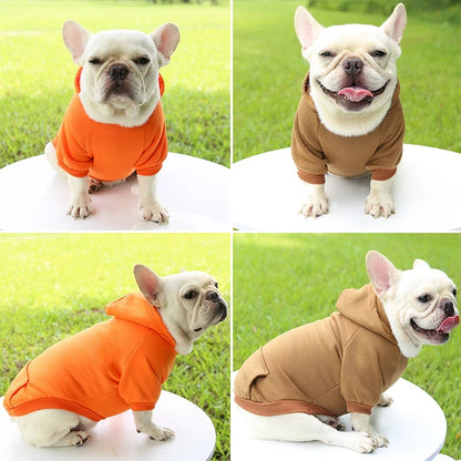 Cozy Paws Dog Hoodie - Boatlode