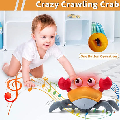 WiggleWonder: the Baby Walking Crab Toy - Boatlode