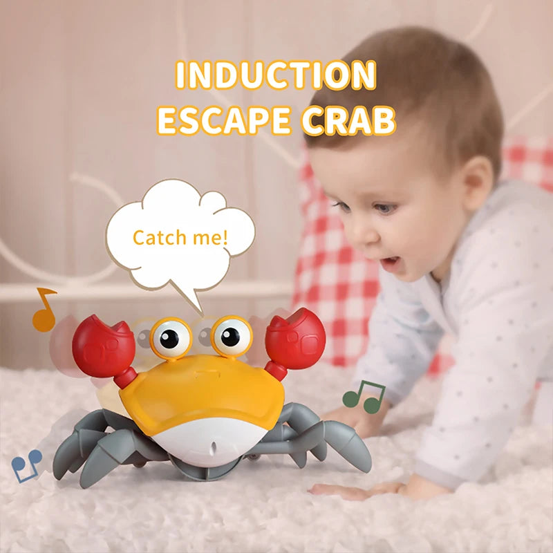 WiggleWonder: the Baby Walking Crab Toy - Boatlode