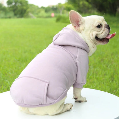 Cozy Paws Dog Hoodie - Boatlode