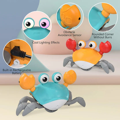 WiggleWonder: the Baby Walking Crab Toy - Boatlode