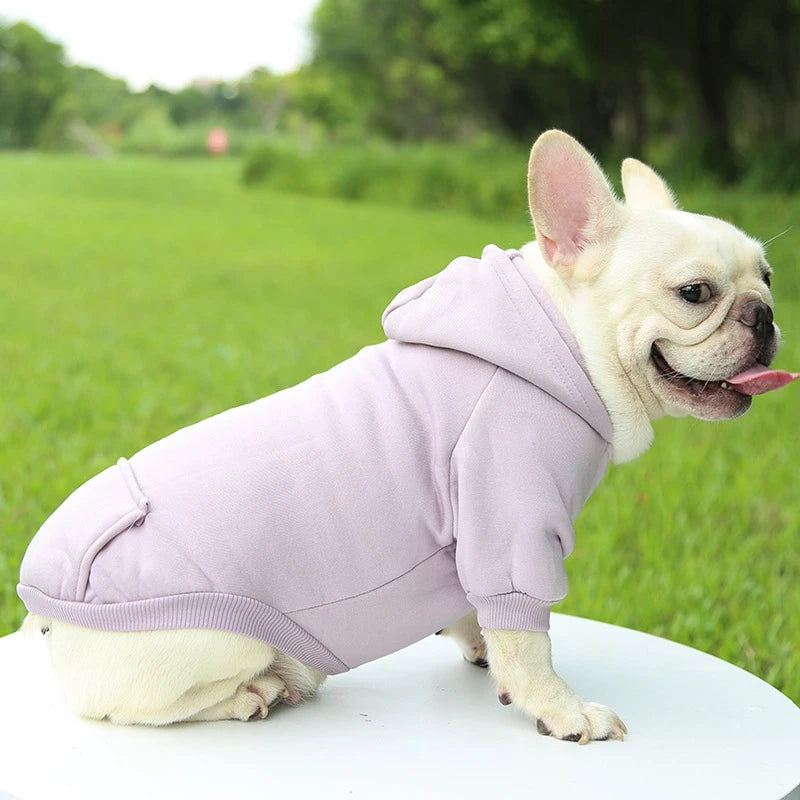 Cozy Paws Dog Hoodie - Boatlode